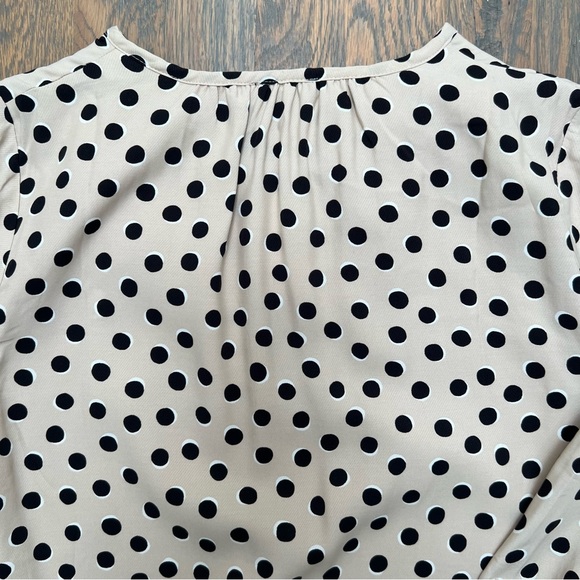 Ann Taylor Polka Dot Shift Dress - Picture 4 of 7